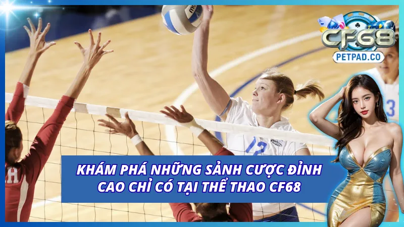 Những sảnh cược uy tín hàng đầu thế giới
