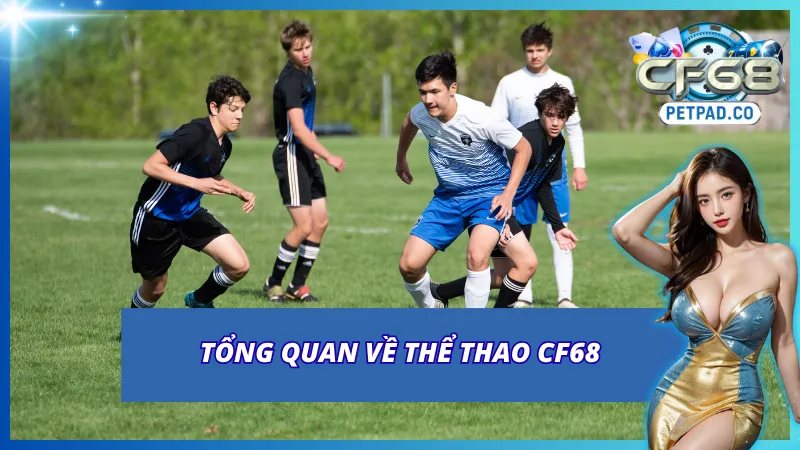 Khám phá thể Thao CF68